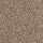 Mohawk Carpet: Dynamic Quality II Filigree